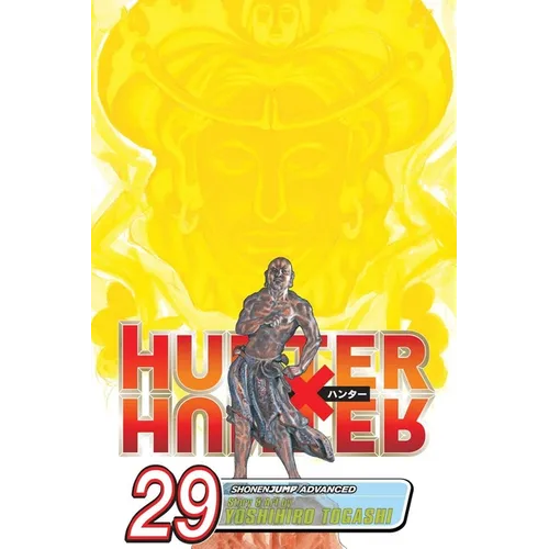 Hunter X Hunter, Vol. 29: Memory - Paperback