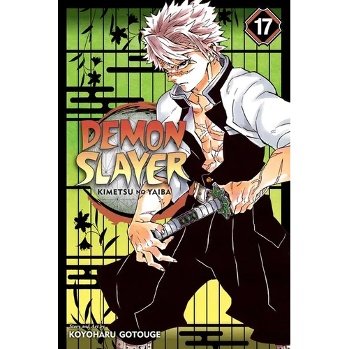 Demon Slayer: Kimetsu No Yaiba, Vol. 17: Successors - Paperback