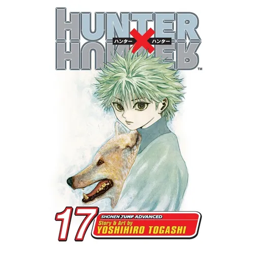 Hunter X Hunter, Vol. 17: A Fierce Three-Way Struggle - Paperback